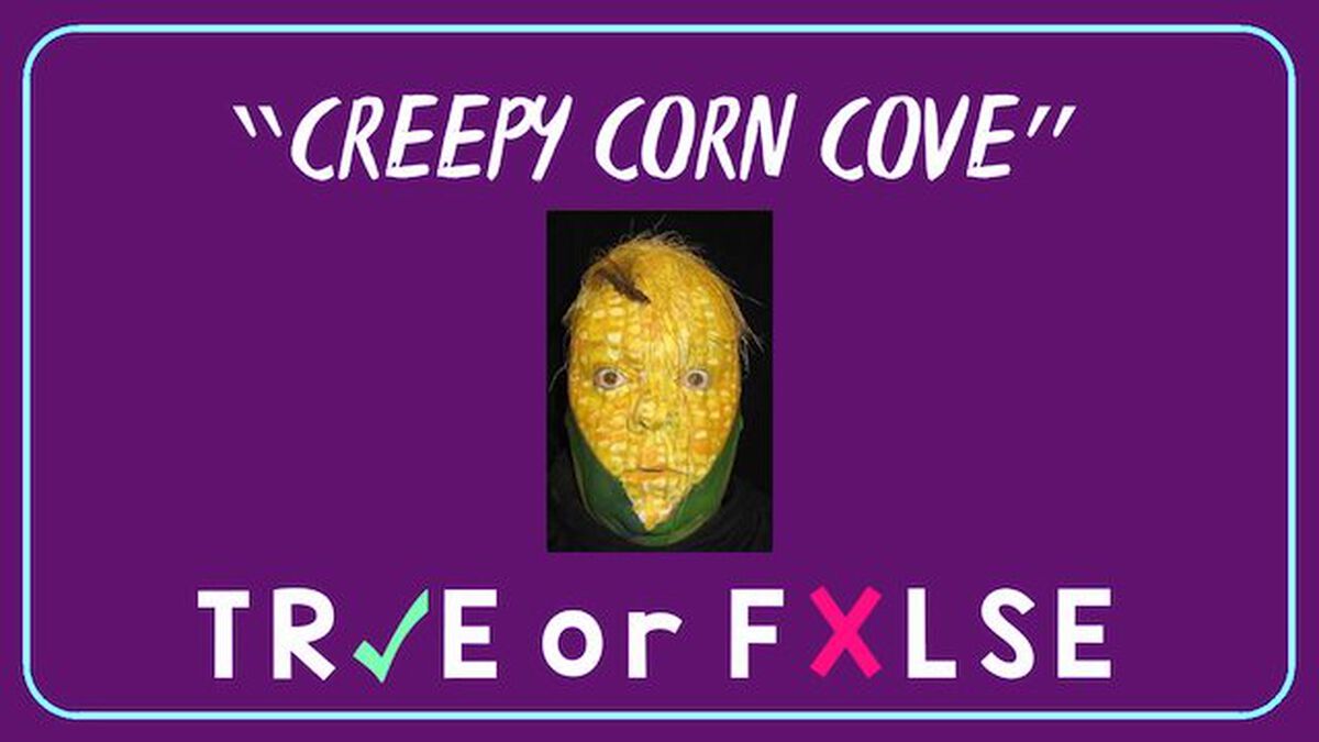 TRUE or FALSE - Freaky City Edition image number null